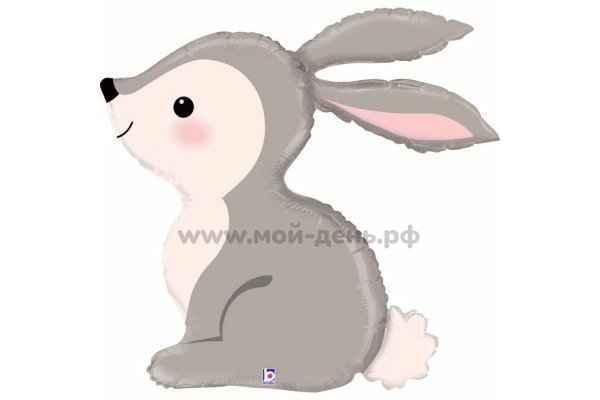 Зайчик
